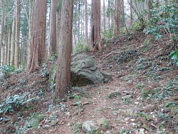 登り始めの風景、意外に岩が多い