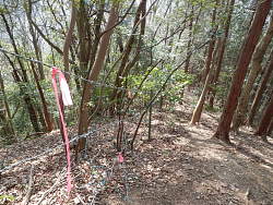 害獣除けと思われるフェンス
