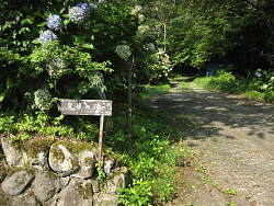直進は金時山へ