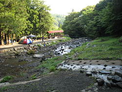 キャンプ場