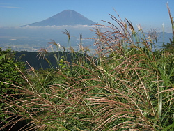 山頂手前からの富士山