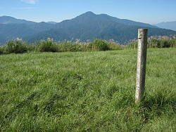 山頂標識から金時山