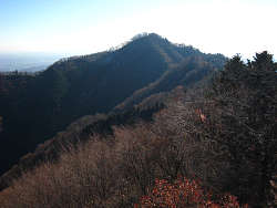 展望台からの仏果山