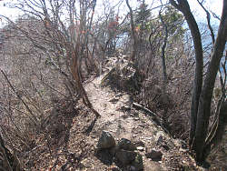 岩の細い尾根