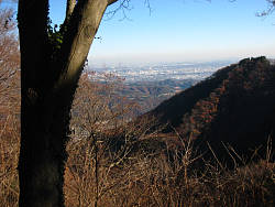 峠付近からの眺め