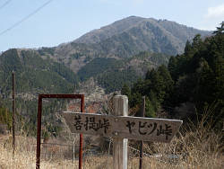 斜面から大山を眺める