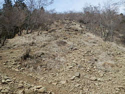 石混じりの登山道