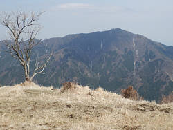大山