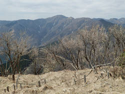 塔ノ岳方面