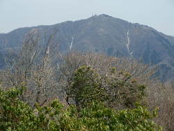 二ノ塔から見る大山