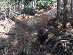 荒れた登山道