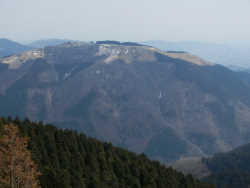 林道を10m南に行った所からの大野山