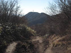 長尾山から丸岳を見る