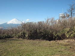 丸岳手前の草地