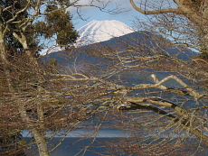芦の湖畔からの富士山