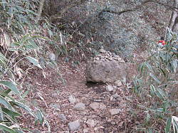 岩のごろごろした登山道