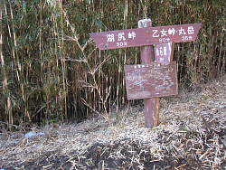 長尾峠近くの分岐点
