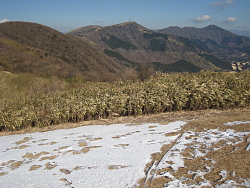 丸岳・金時山方面