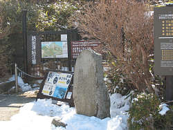 入口