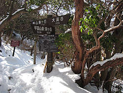 大涌谷分岐