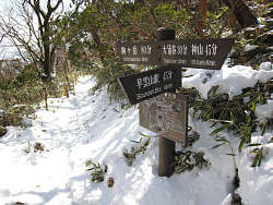 早雲山分岐