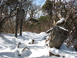 冠ヶ岳頂上