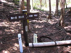 大きくカーブする手前の標識