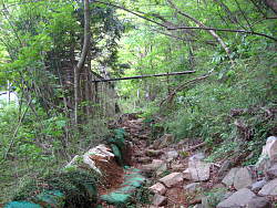 出口間近の荒れた登山道