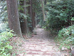 参道の石段の一部
