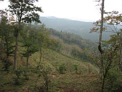 山頂西寄りから明星ヶ岳方面