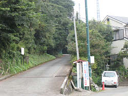 威張山林道起点風景