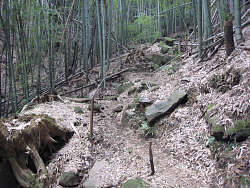 阿弥陀寺裏手の道