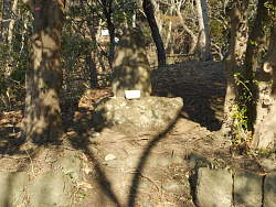 中央に石製の山の神社