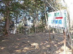 登りきった場所、右が高鳥山、左は弘法山へ