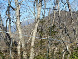 金網越しに高取山と左奥に大山