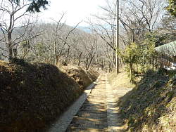 弘法山からの下り、前方に権現山