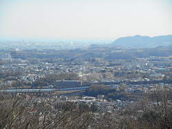 展望台からの高麗山・平塚方面