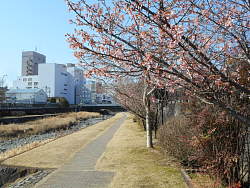 水無川の散策路