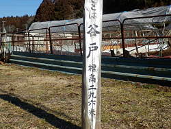 ここは谷戸 標高296米の標識