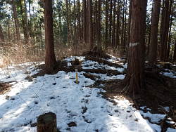 山頂部