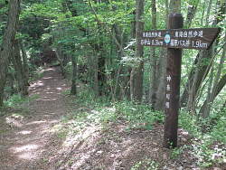 山頂 0.3qの標識のある風景