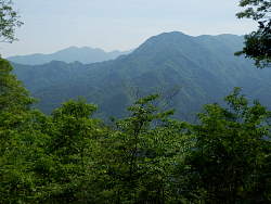 山を重点に、焼山と奥に丹沢三峰か