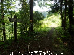 1.明るい空間が見える 2.標識拡大