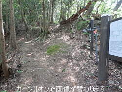 伏馬田と菅井の分岐、菅井は尾根を直進