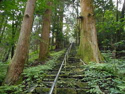 石段途中の風景