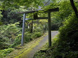 社殿うらにある奥の院鳥居