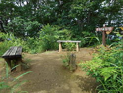 熊倉山山頂