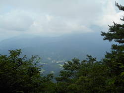西側の風景