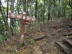生藤山に登らない巻き道