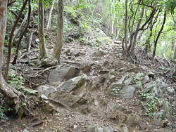 生藤山 登り途中
